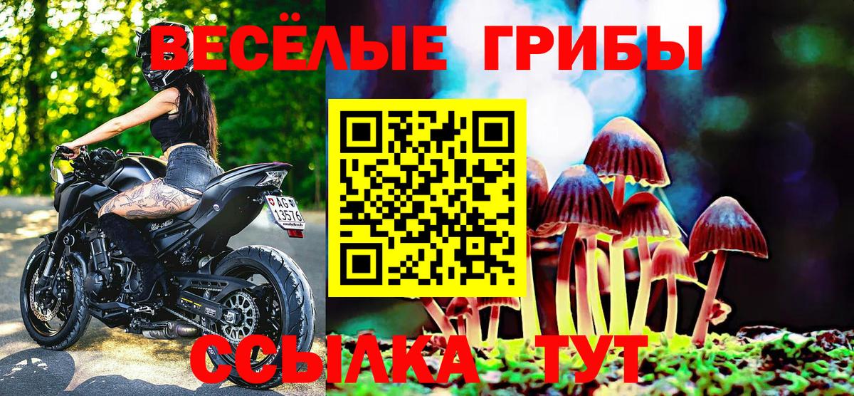 Галлюциногенные грибы MAGIC MUSHROOMS  Псилоцибиновые грибы ЛСД  Котельники  наркошоп  Вход с VPN 